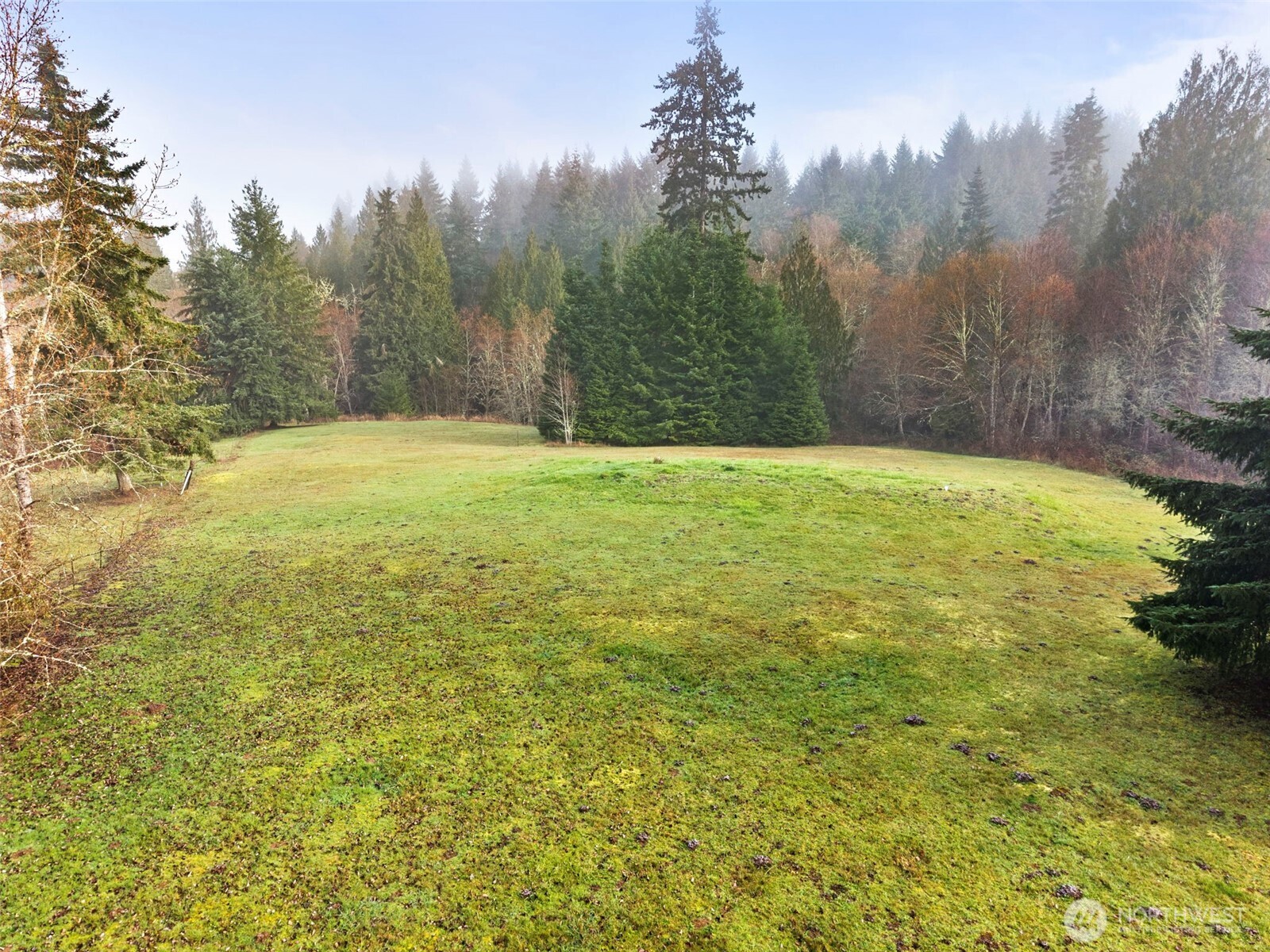 104 Sun Valley Drive Chehalis, WA 98532 - Photo 26 of 29 a view of outdoor space and yard