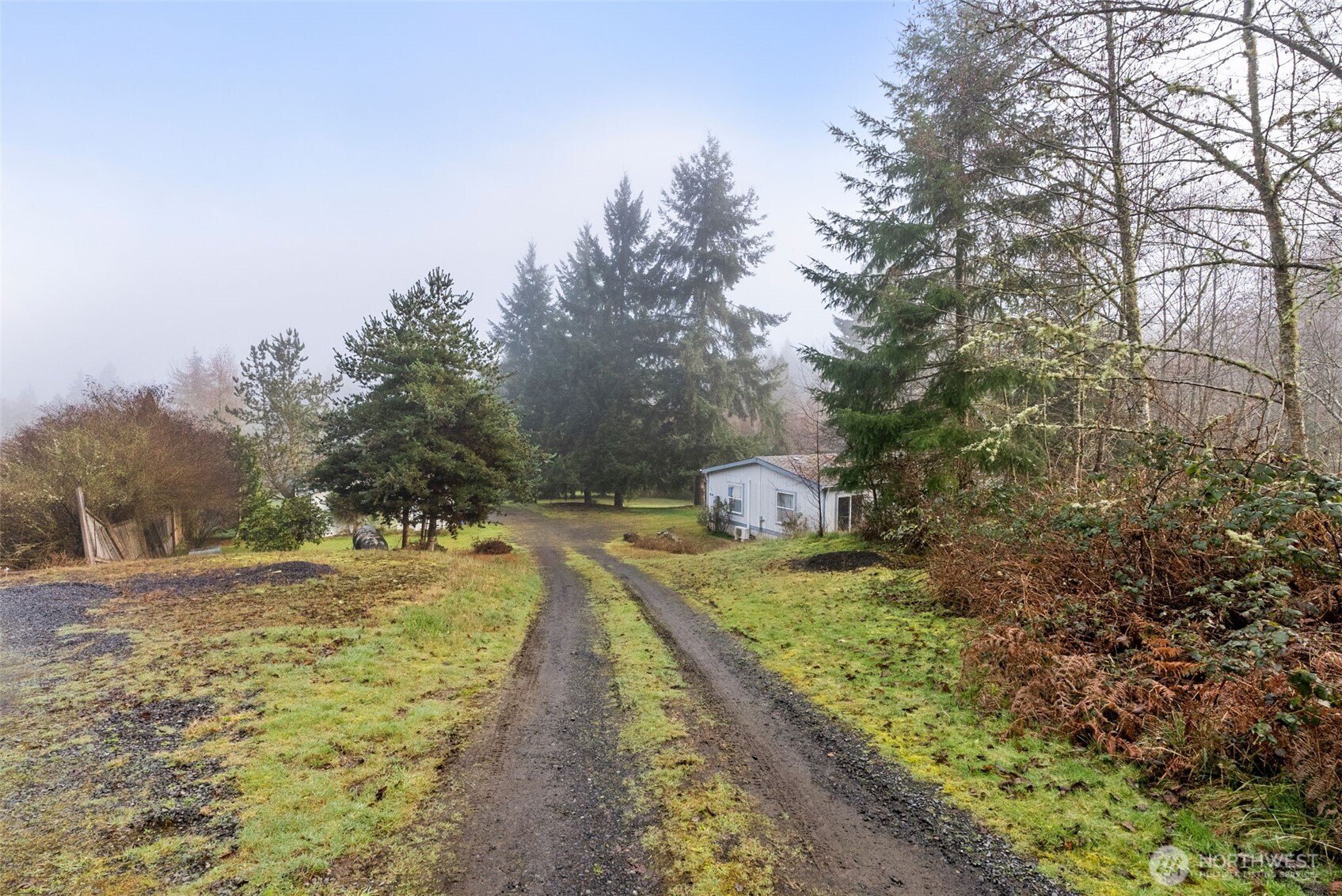 104 Sun Valley Drive Chehalis, WA 98532 - Photo 27 of 29 a view of a yard with trees