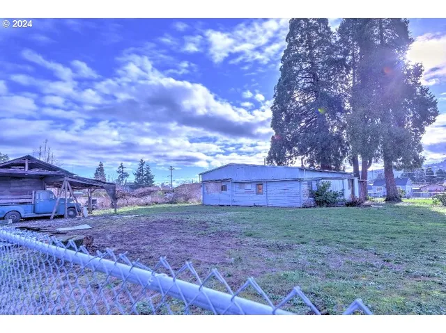 a view of a backyard with large trees