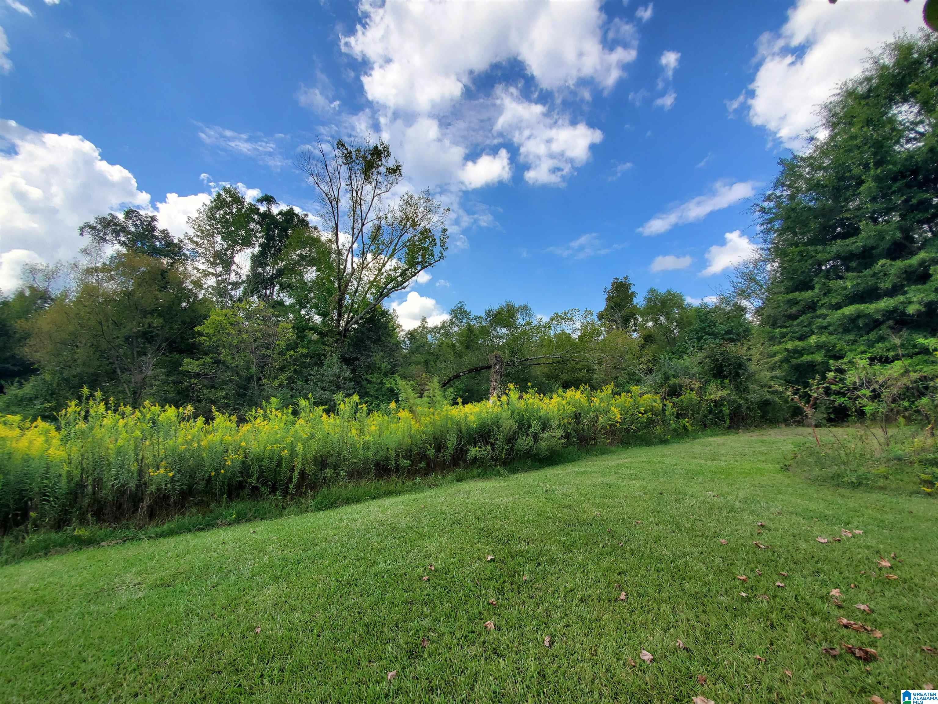 622 Rocky Hollow Road Jacksonville, AL 36265 - Photo 31 of 40