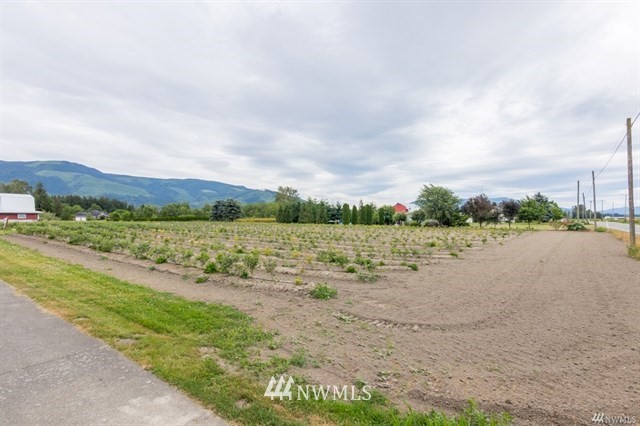 7372 Nooksack Road Everson, WA 98247 - Photo 19 of 25