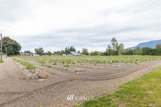 7372 Nooksack Road Everson, WA 98247 - Photo 24 of 25