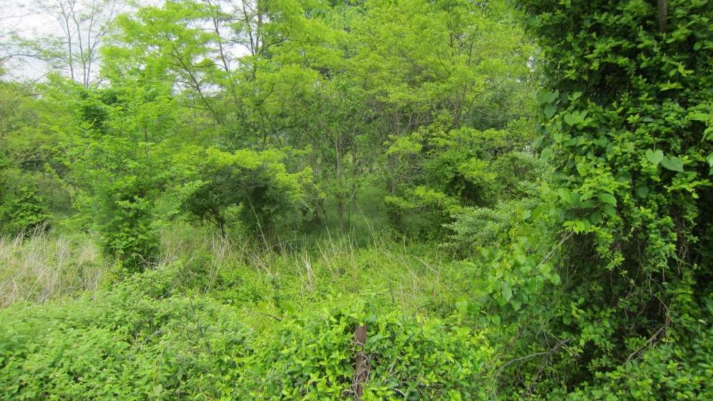 157 Stagecoach Road Staunton, VA 24401 - Photo 35 of 36 Gallery Image 35