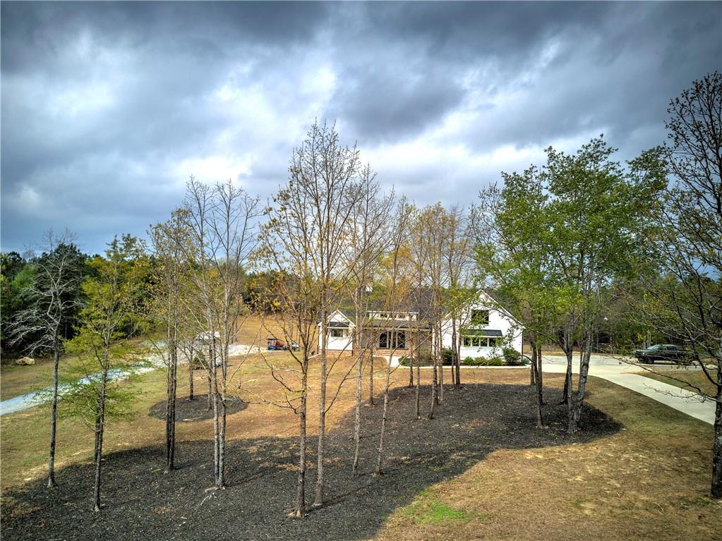 a view of a park with large trees