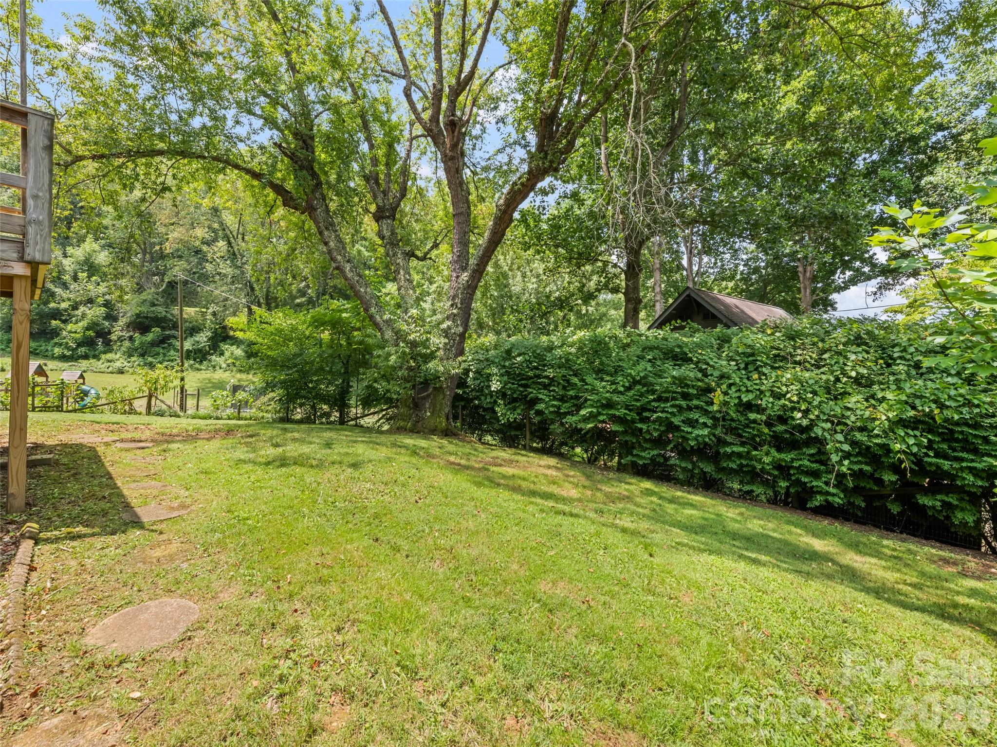 206 Terrell Cove Road Canton, NC 28716 - Photo 9 of 24 Gallery Image 9