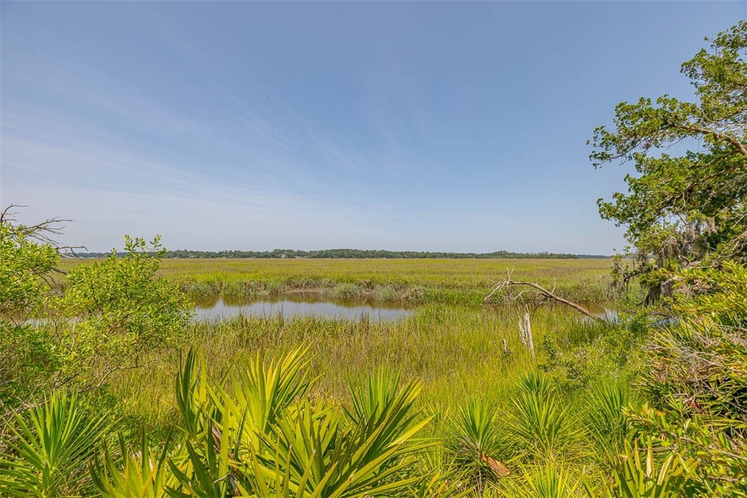 Lot 734 Village Green Drive Northeast Townsend, GA 31331 - Photo 21 of 23