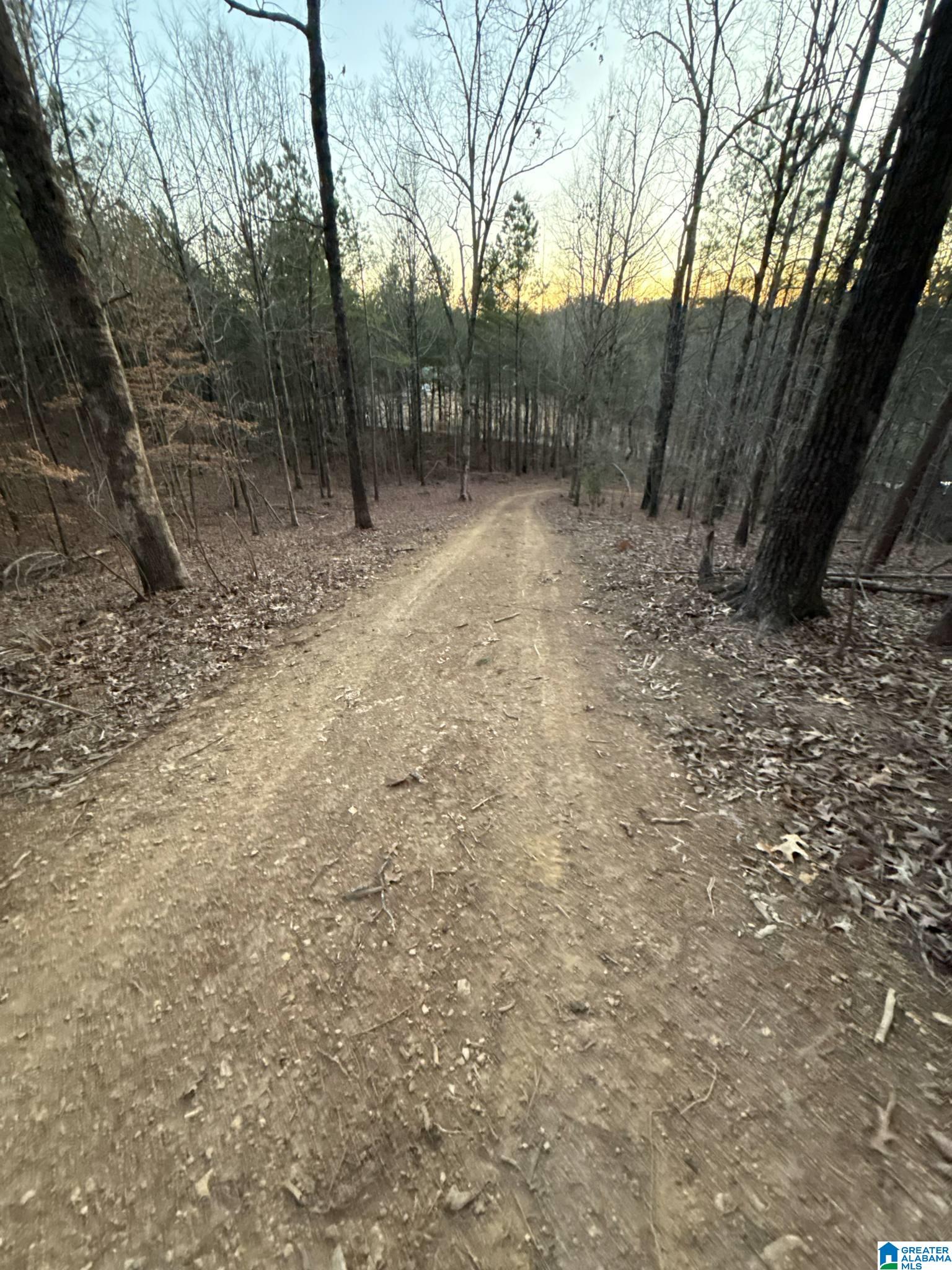 1215 Buddy Vines Camp Road Bessemer, AL 35023 - Photo 8 of 25