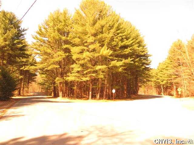 Lot 3 Dixon Road North Rome, NY 13440 - Photo 1 of 1