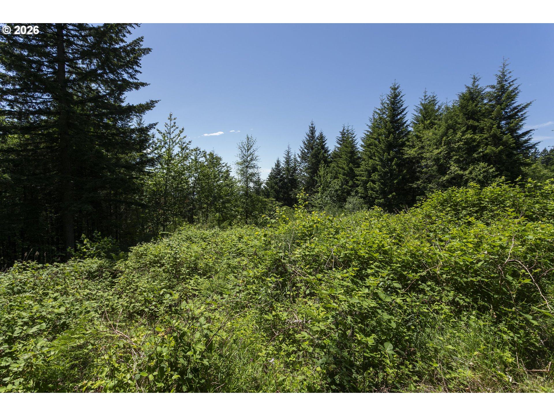 0 Northeast 292nd Court Camas, WA 98607 - Photo 7 of 14