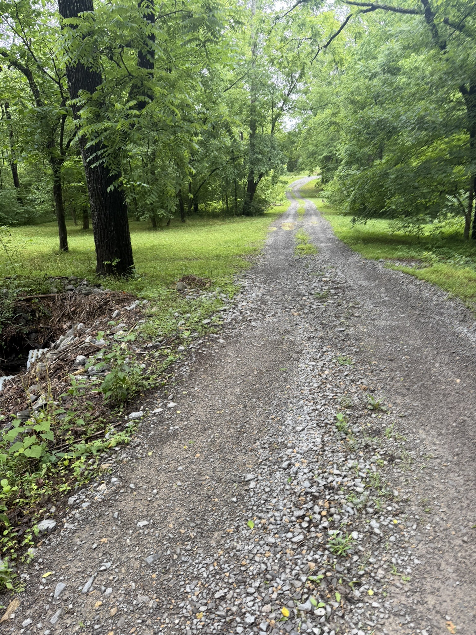 0 Brown Road Bon Aqua, TN 37025 - Photo 13 of 56 Gallery Image 13