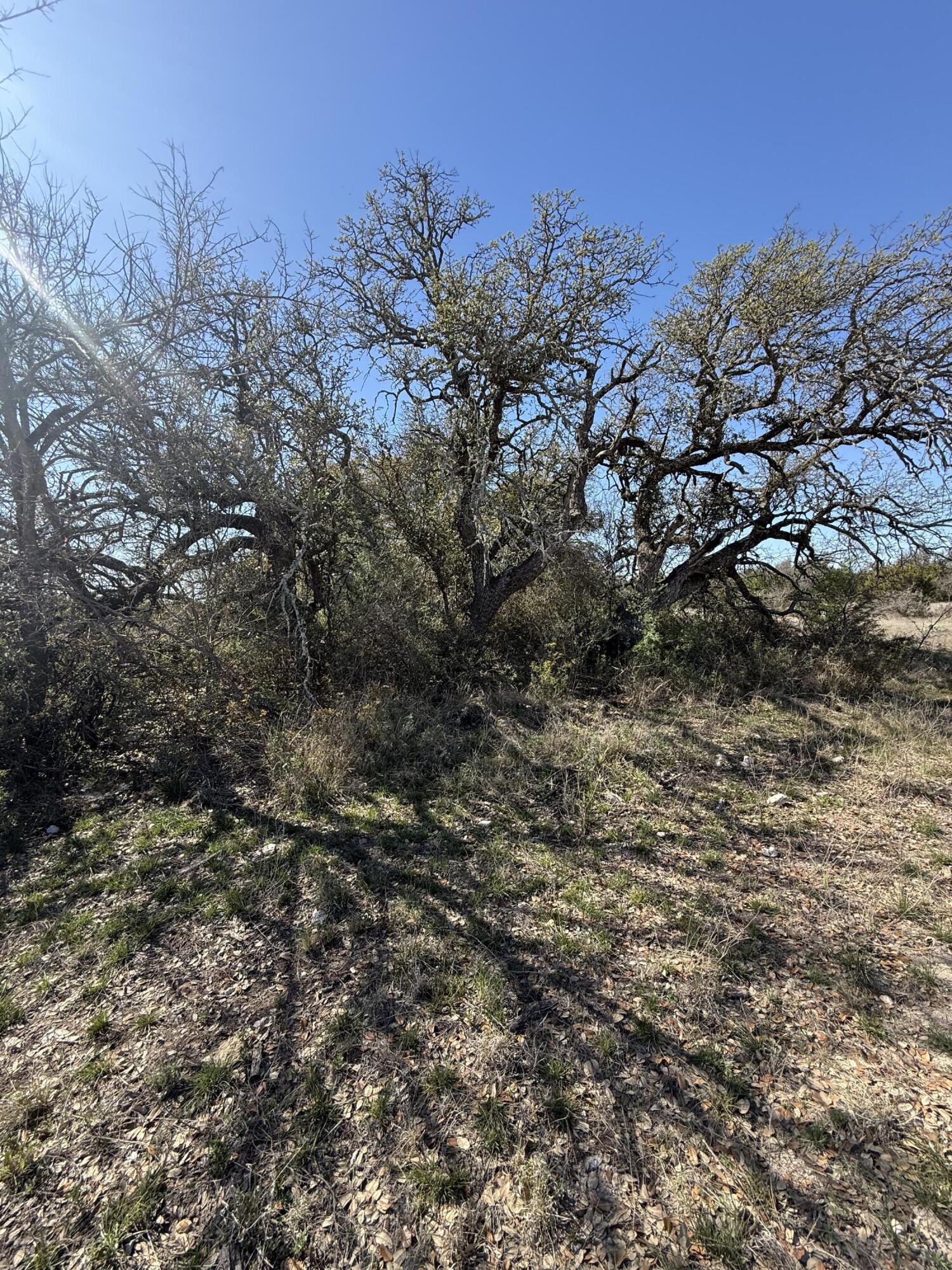 713 Persimmon Road Eldorado, TX 76936 - Photo 14 of 15 IMG_8227
