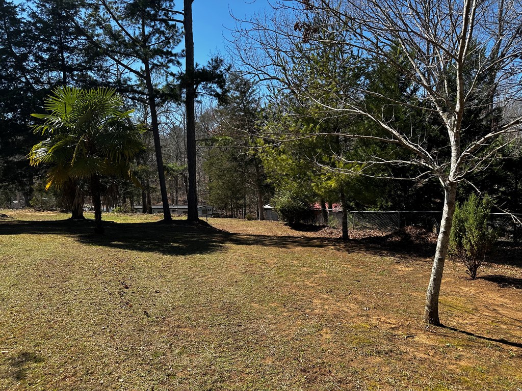 81 Catfish Cove Road Abbeville, SC 29620 - Photo 39 of 59 Gallery Image 39