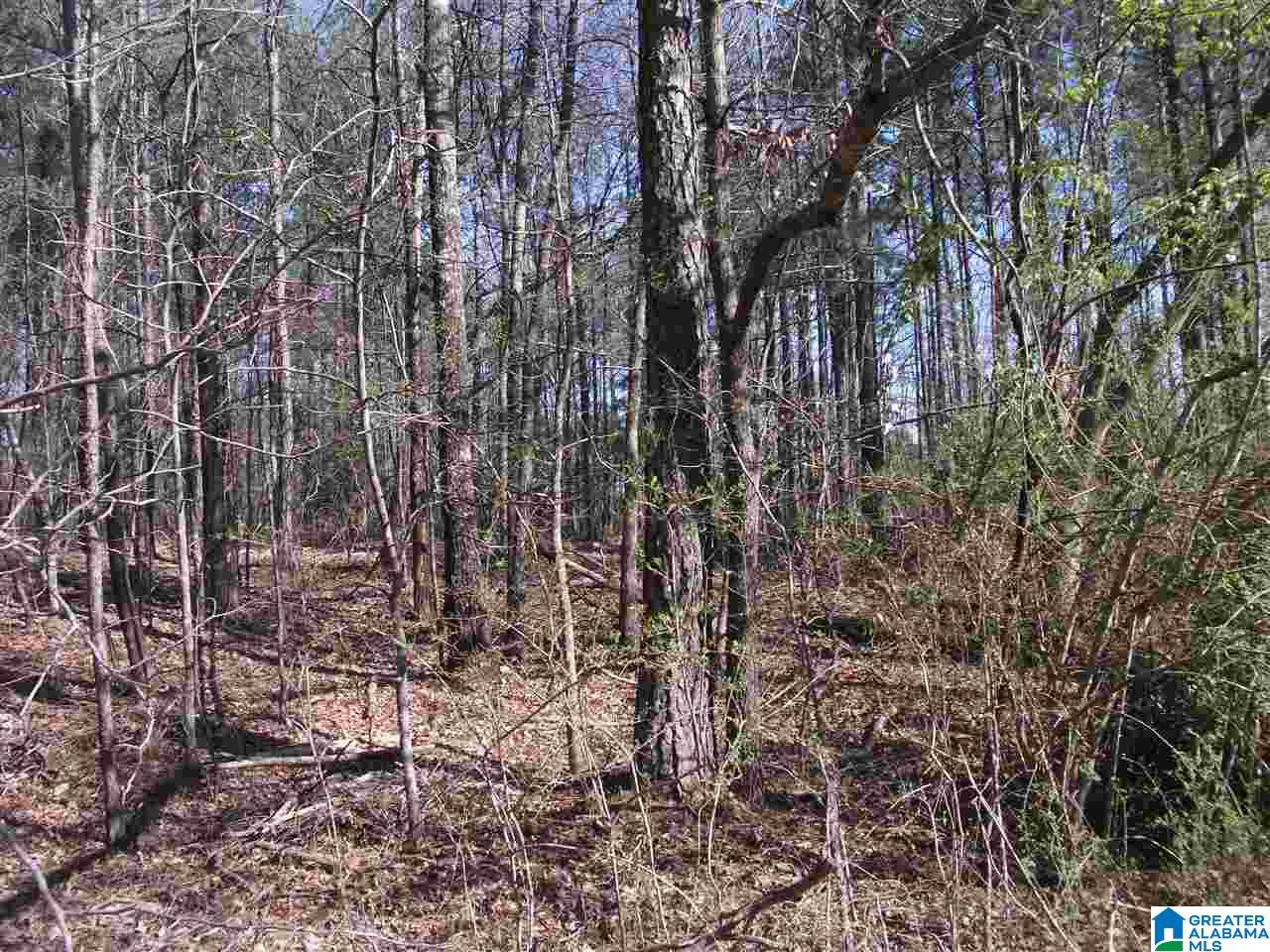Tbd Old Shocco Road, Unit 4/1 Talladega, AL 35160 - Photo 1 of 2 Gallery Image 1