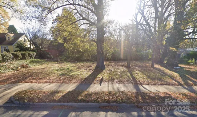a view of yard with tree
