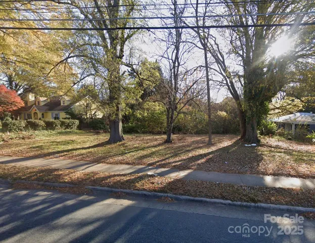 a view of yard with tree s