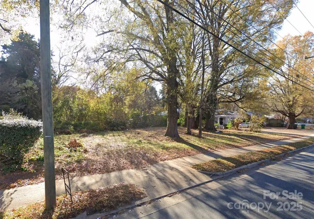 a view of a yard with trees
