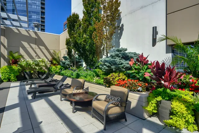 a garden view with sitting space