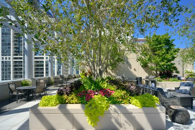 a view of a garden with patio