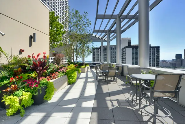 a view of a patio with dining table and chairs potted plants