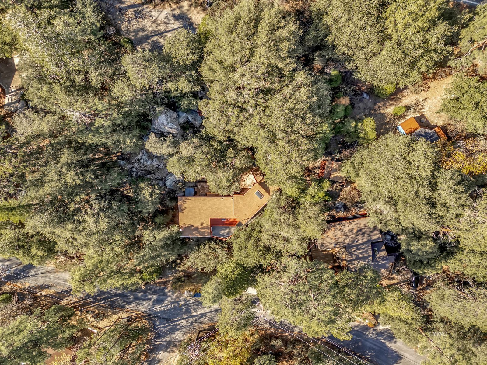 53580 Jeffery Pine Road Idyllwild, CA 92549 - Photo 3 of 90 a aerial view of a house with a yard and large trees