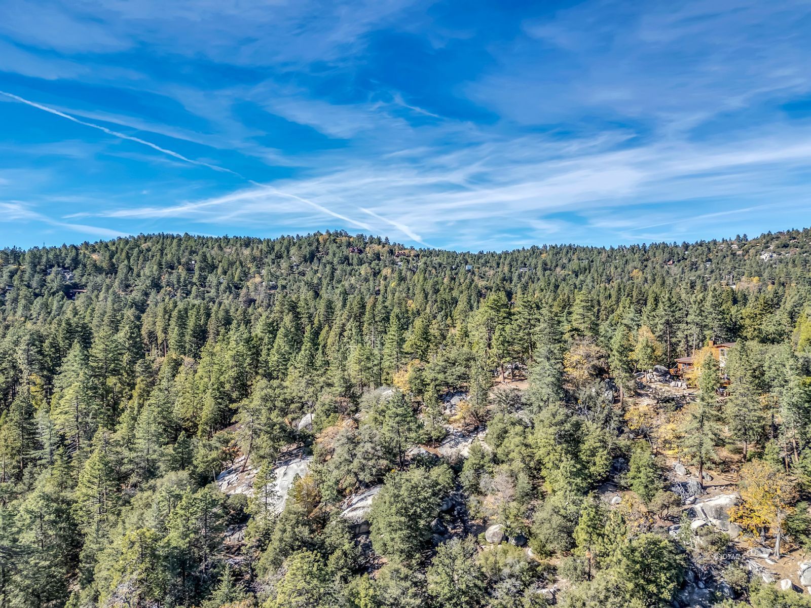 53580 Jeffery Pine Road Idyllwild, CA 92549 - Photo 4 of 90 Untitled