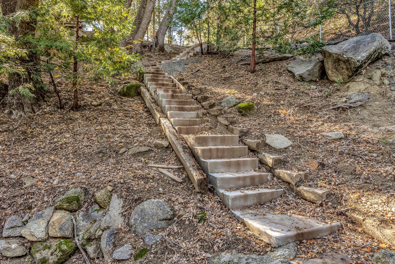 53580 Jeffery Pine Road Idyllwild, CA 92549 - Photo 71 of 90 a view of a dry yard with wooden fence and large trees