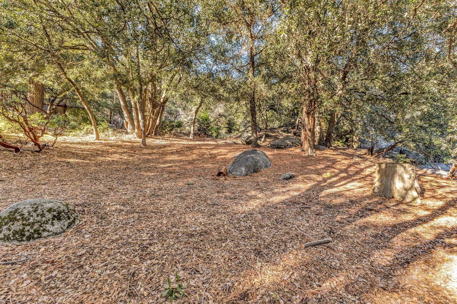 53580 Jeffery Pine Road Idyllwild, CA 92549 - Photo 84 of 90 a backyard of a house with large trees and outdoor seating