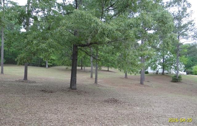 144 Old Sardis Church Road Clayton, AL 36016 - Photo 2 of 34 a view of a forest with trees in the background