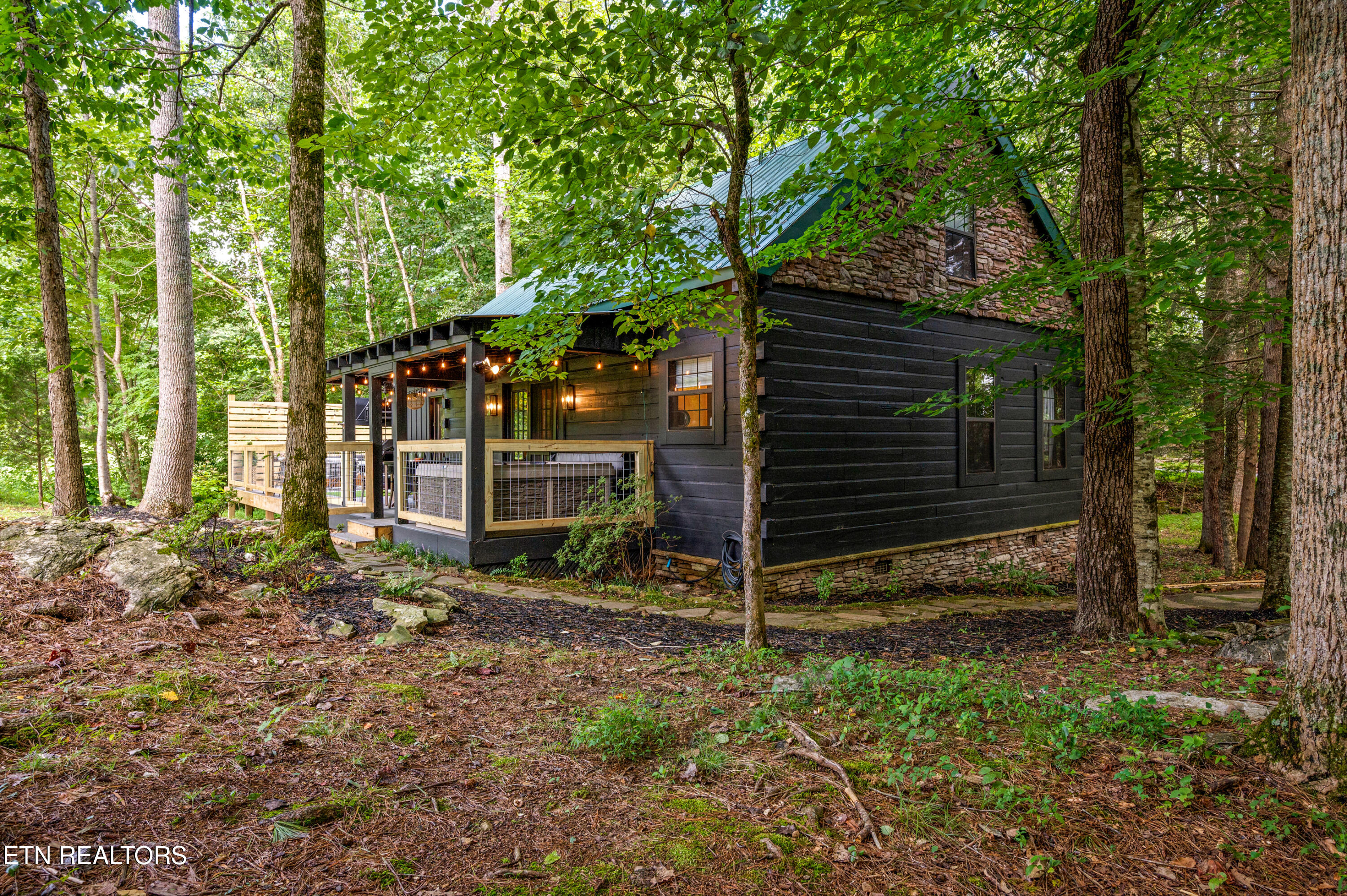 278 Laurel Road Townsend, TN 37882 - Photo 2 of 34 DSC_7412