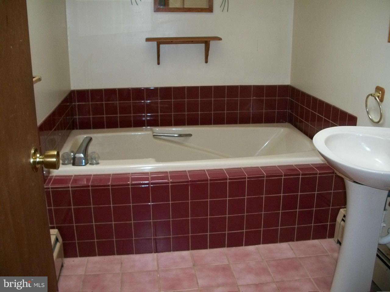 3208 Conowingo Road Street, MD 21154 - Photo 22 of 30 Bath #1