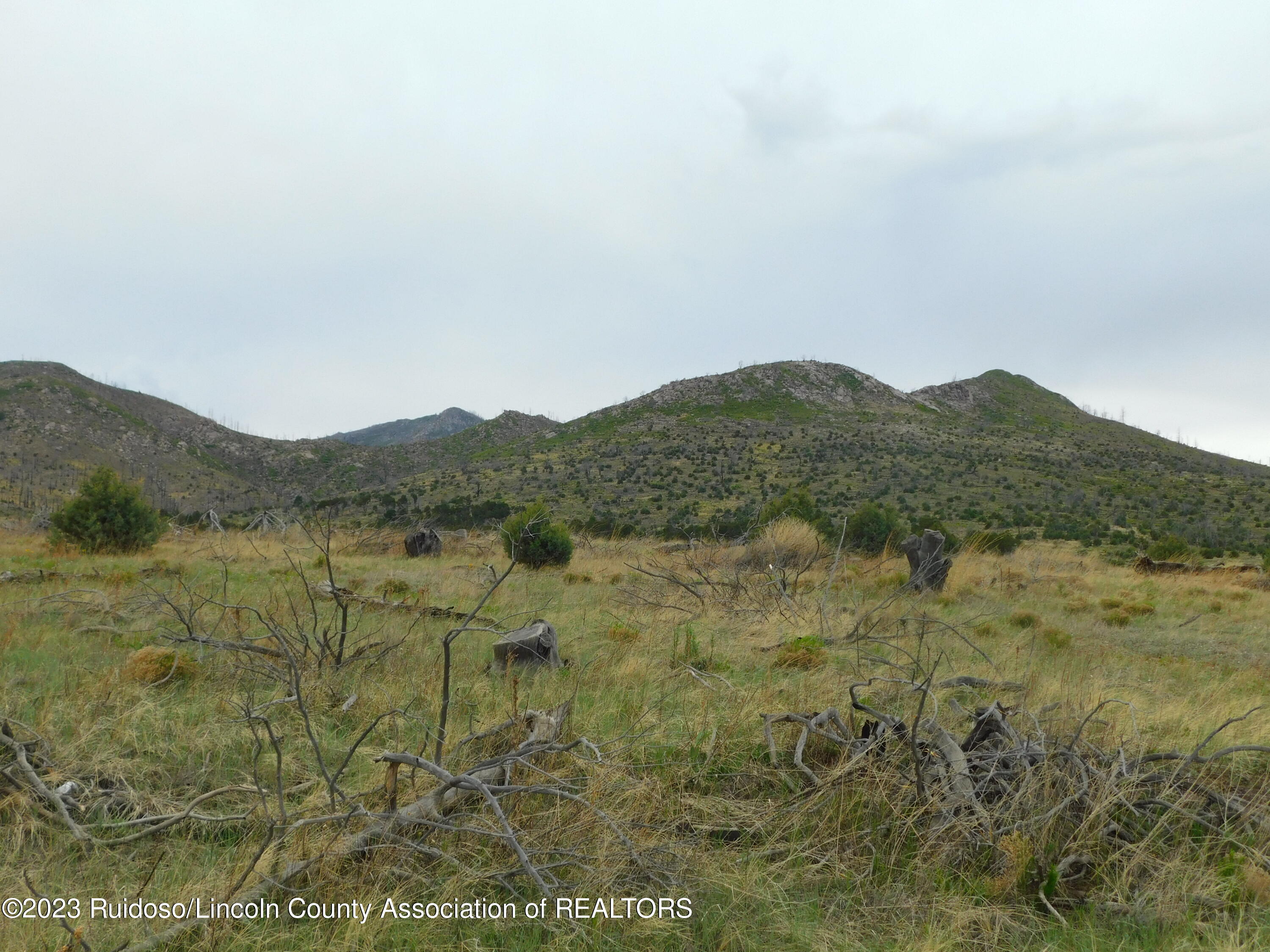 113 Pinos Altos Road Alto, NM 88312 - Photo 1 of 1 Gallery Image 1