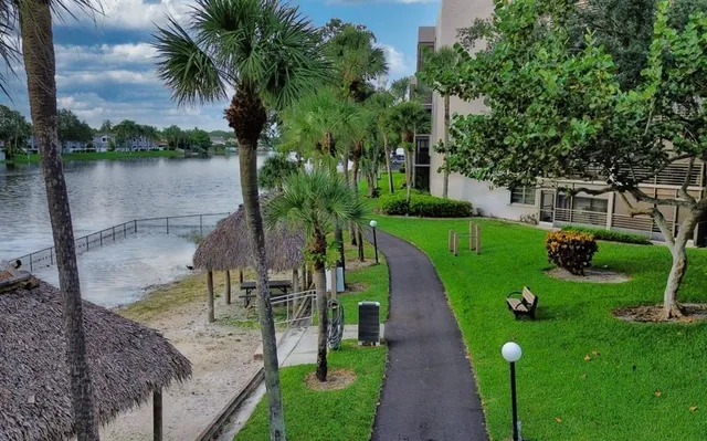 a view of a park with large trees
