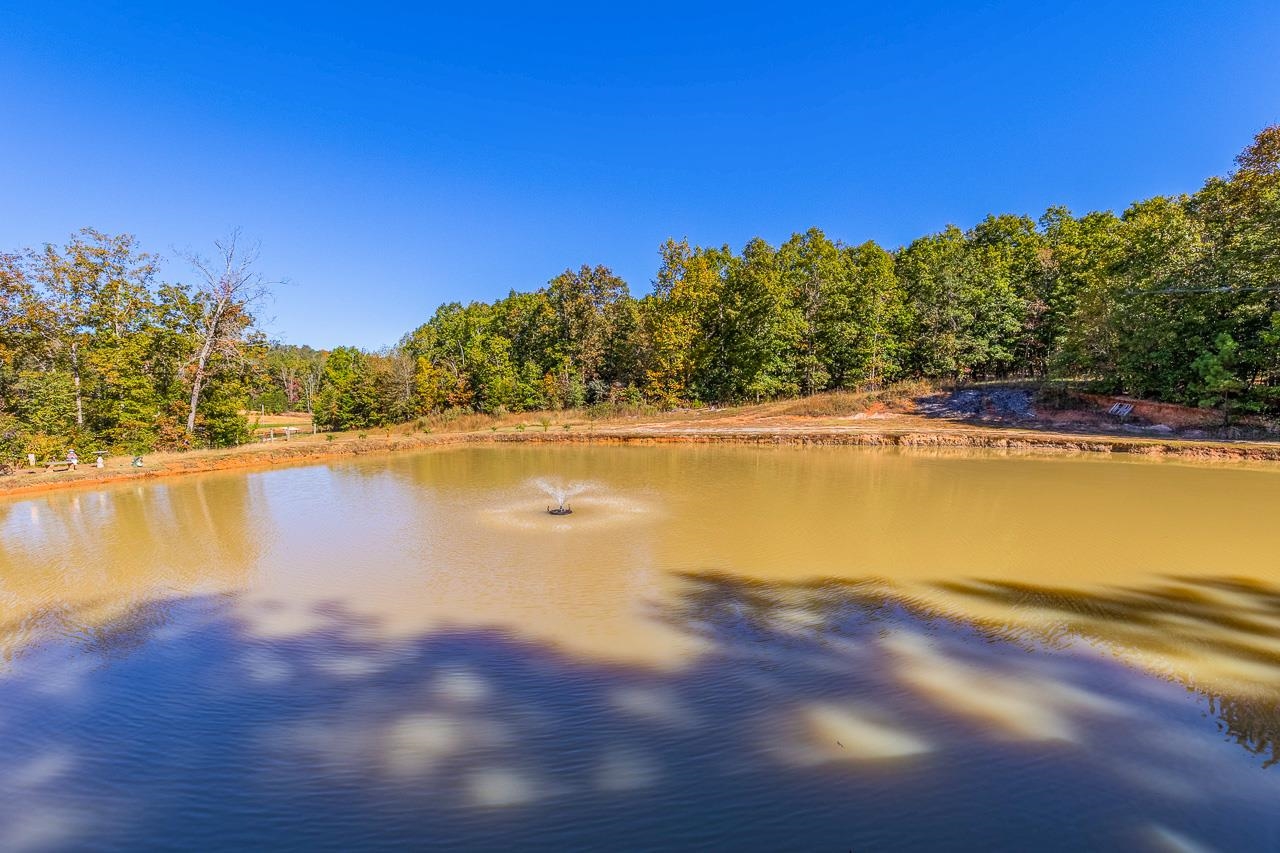 398 West V Thompson Road Rutherfordton, NC 28139 - Photo 33 of 49