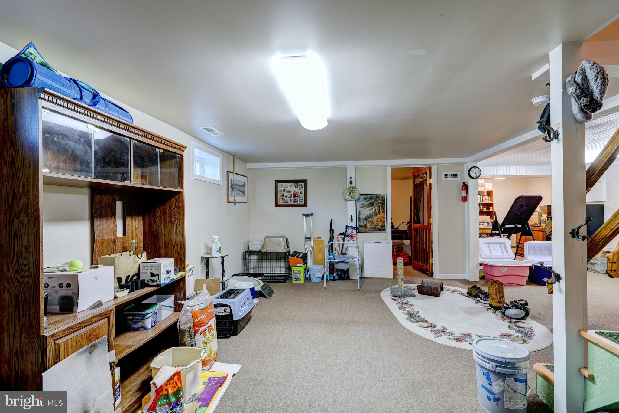 28010 Riverside Drive Salisbury, MD 21801 - Photo 41 of 47 full basement