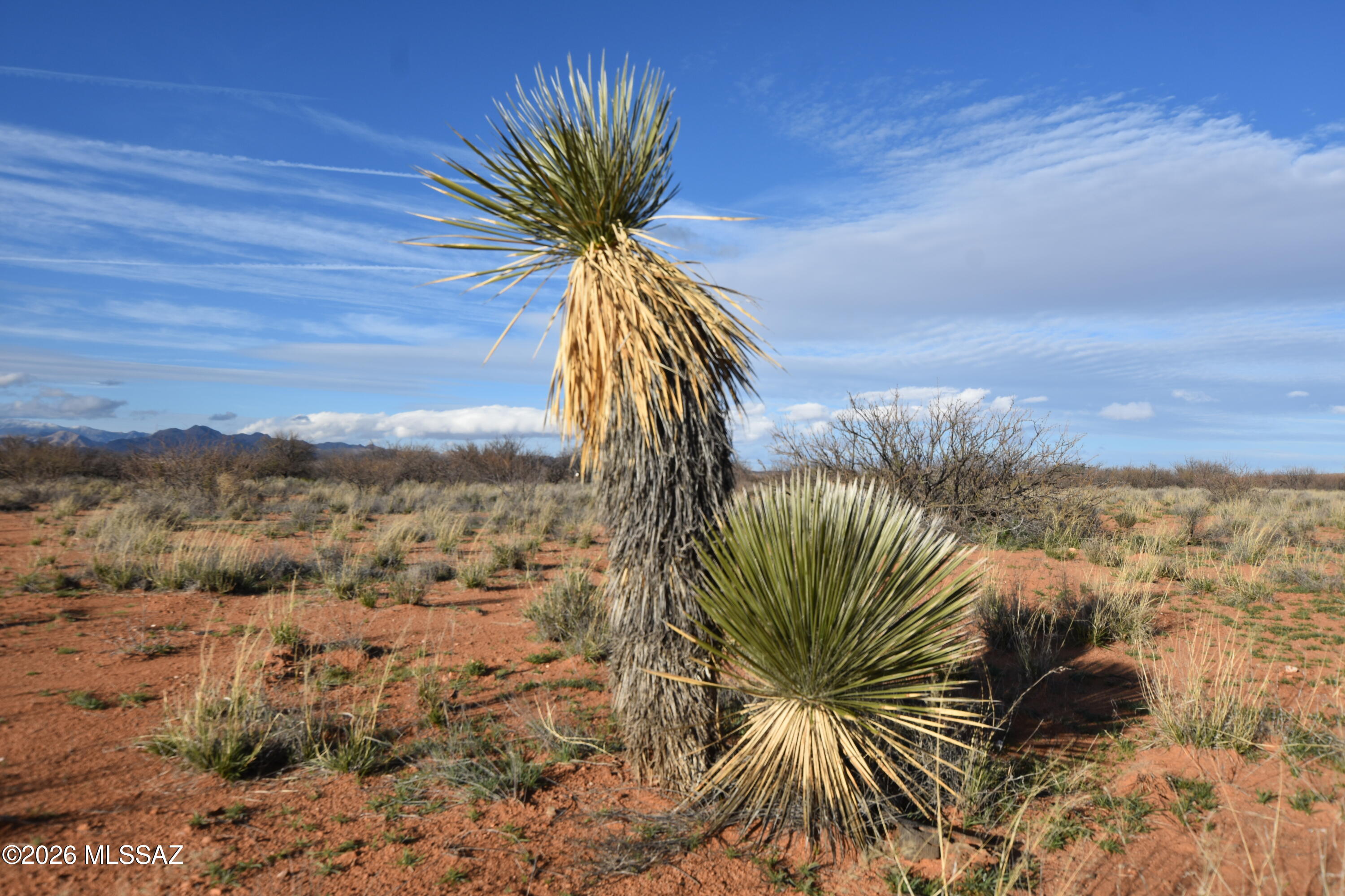 East Howling Wolf Road Willcox, AZ 85643 - Photo 17 of 49