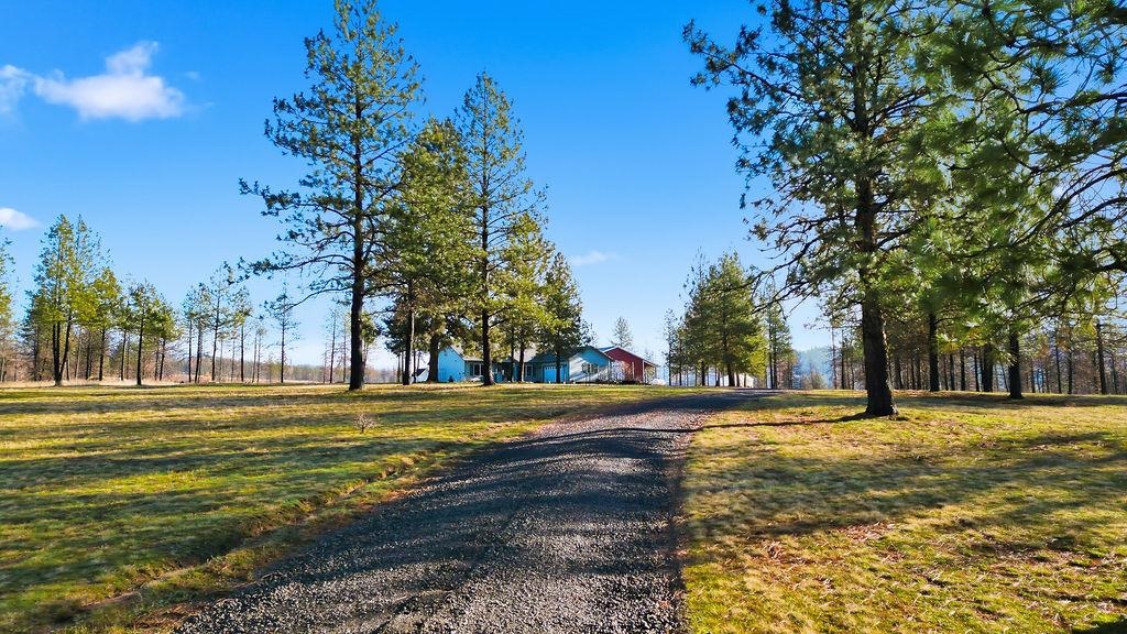 14305 East Nelson Road Elk, WA 99009 - Photo 44 of 48