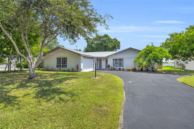 a view of a house with a backyard