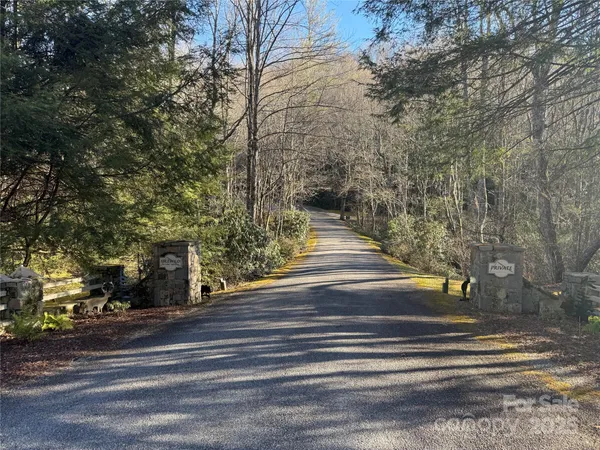 a view of path along with trees