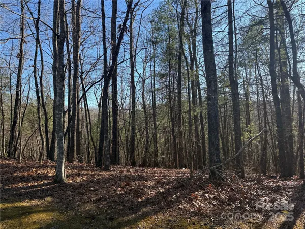 a view of a backyard of a house