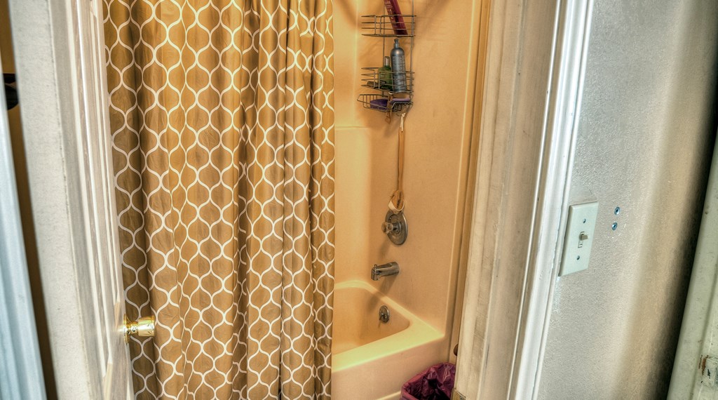 218 Trickling Creek Road Rio Frio, TX 78879 - Photo 35 of 39 a bathroom with a shower curtain and a sink