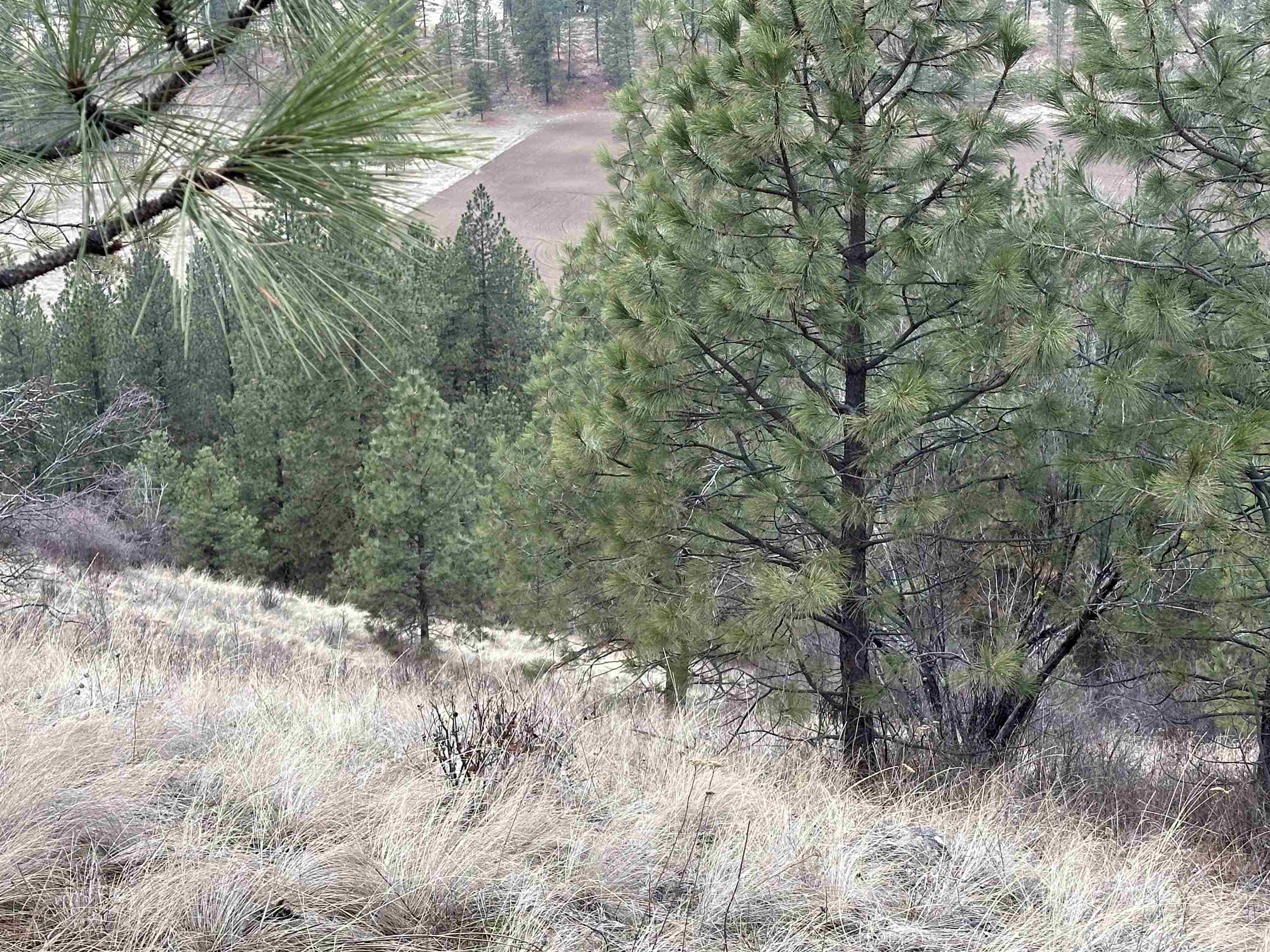 3250 Daisy Mine Road Rice, WA 99167 - Photo 11 of 14