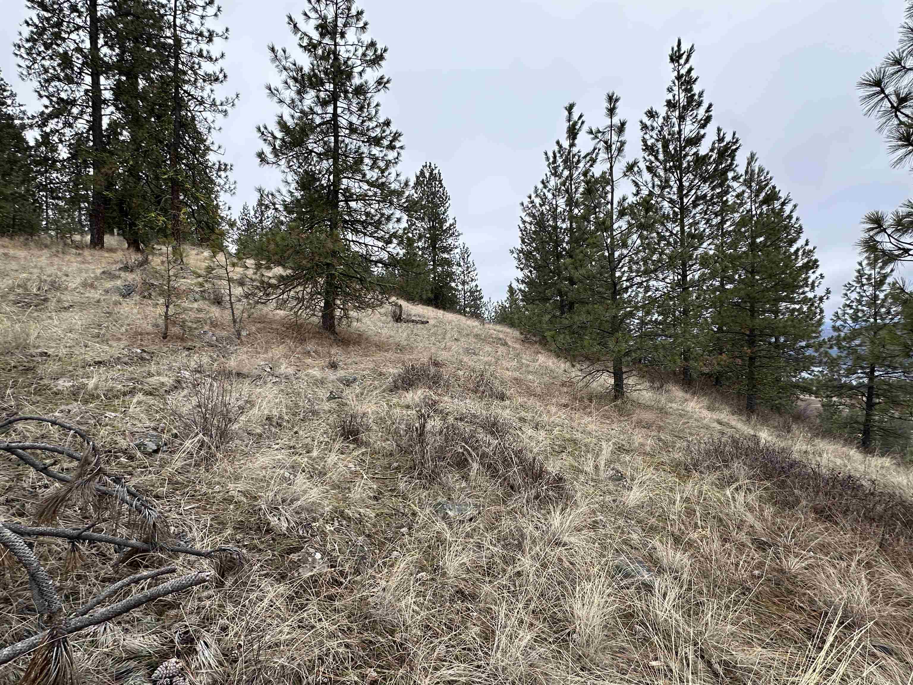 3250 Daisy Mine Road Rice, WA 99167 - Photo 12 of 14