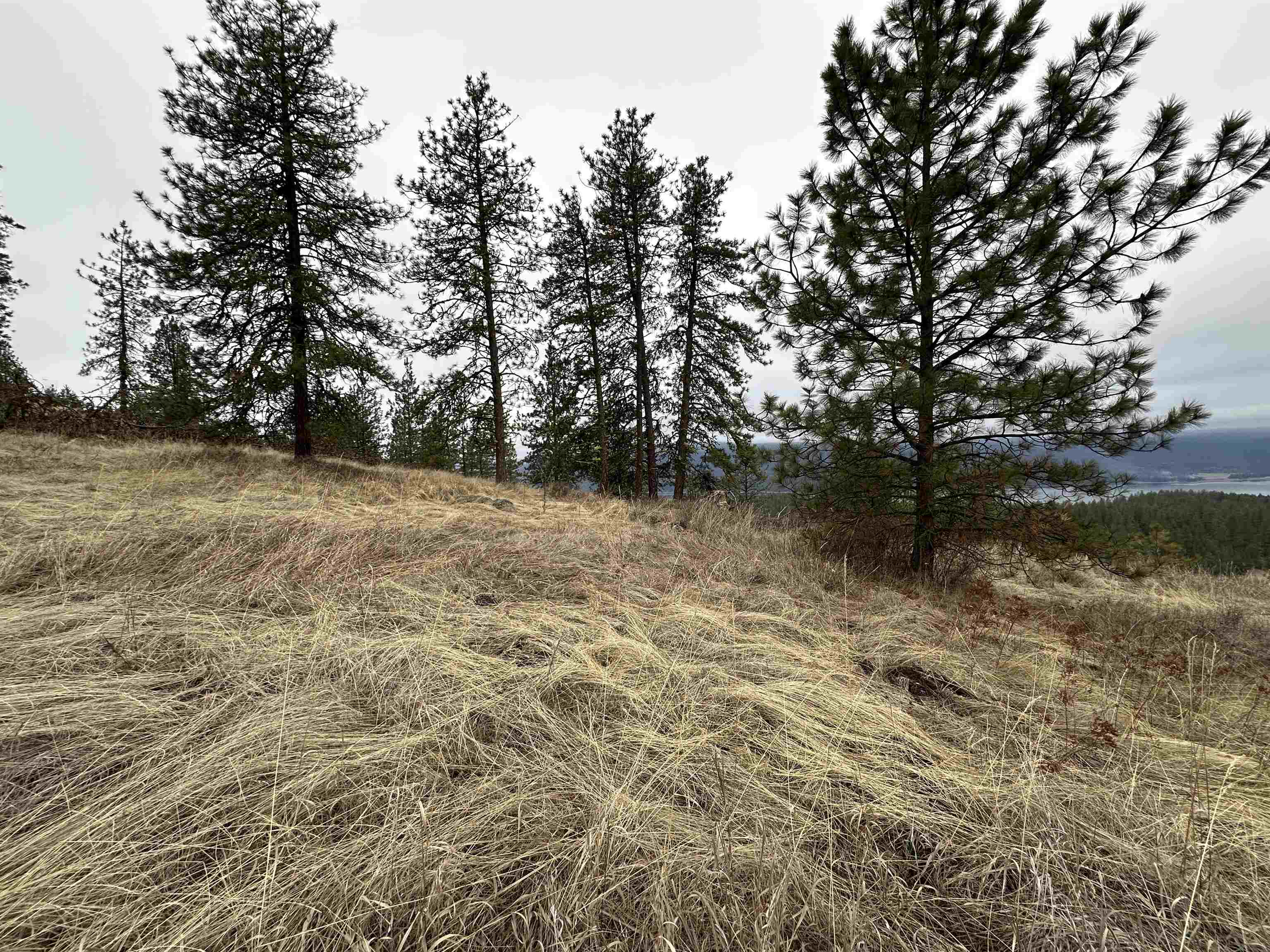 3250 Daisy Mine Road Rice, WA 99167 - Photo 13 of 14