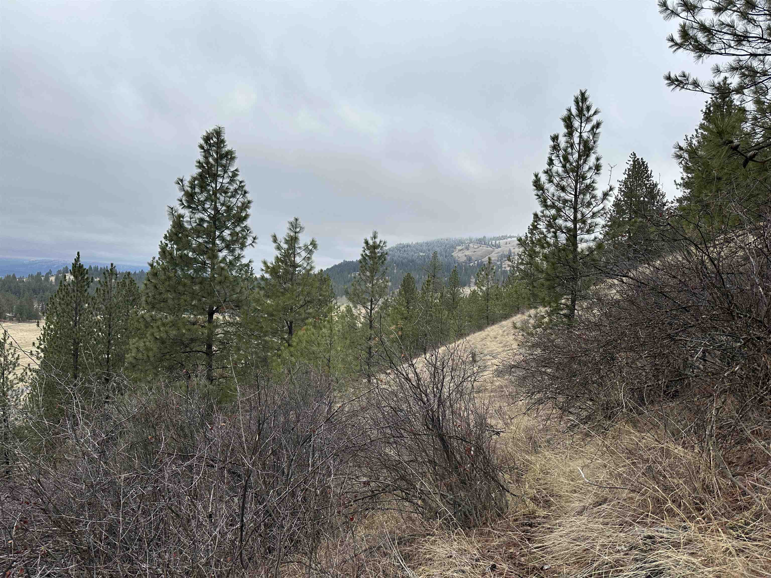 3250 Daisy Mine Road Rice, WA 99167 - Photo 14 of 14