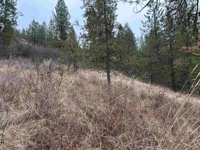 $75,000 | 3250 Daisy Mine Road, Rice, WA 99167