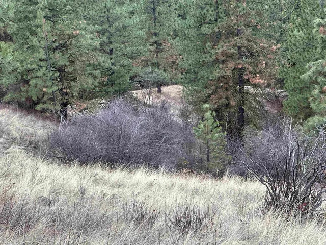 $75,000 | 3250 Daisy Mine Road, Rice, WA 99167