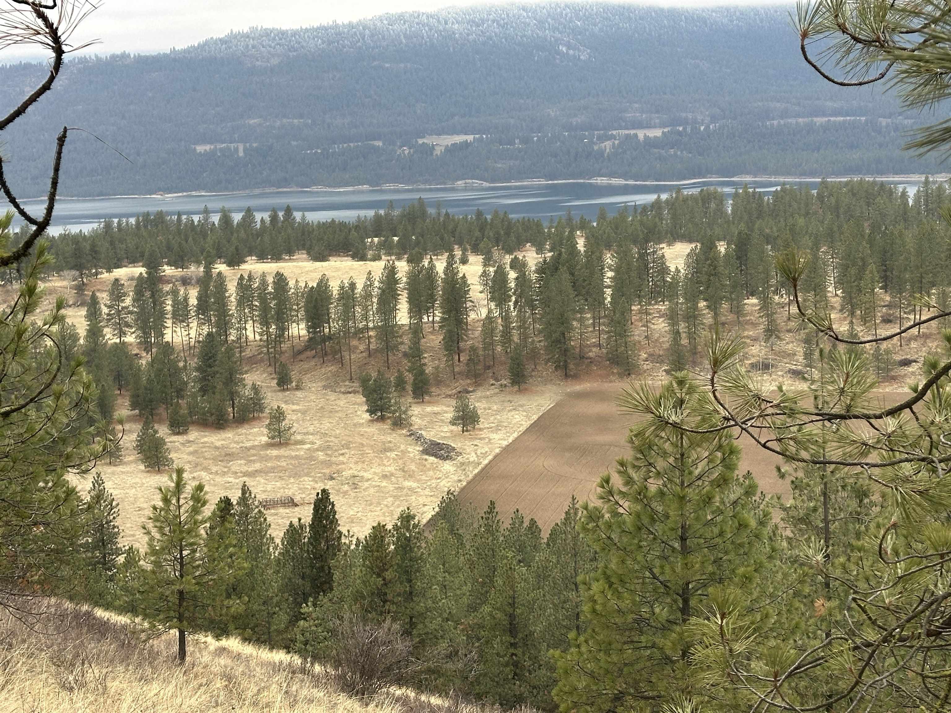 3250 Daisy Mine Road Rice, WA 99167 - Photo 6 of 14