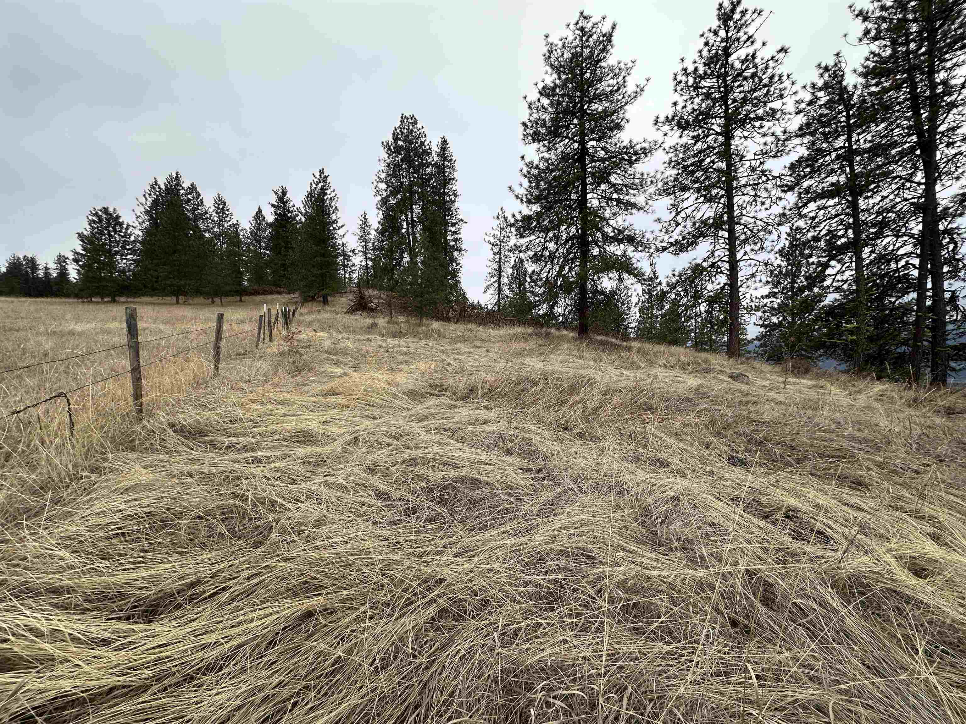 3250 Daisy Mine Road Rice, WA 99167 - Photo 9 of 14