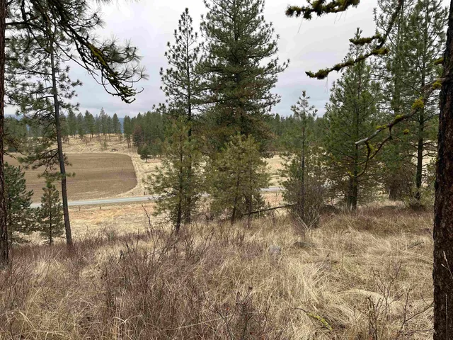 $75,000 | 3250 Daisy Mine Road, Rice, WA 99167