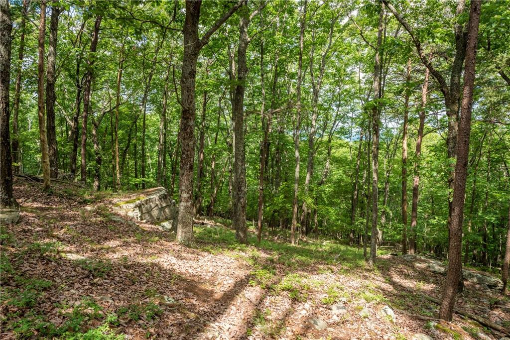 206 R Mystic Trail Lane Jasper, GA 30143 - Photo 11 of 38 a view of backyard with green space